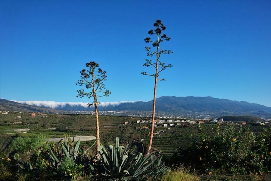 Casa Vista Caldera Villa Tijarafe Luaran gambar